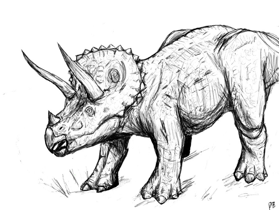Triceratops Dinosaur Coloring Pages