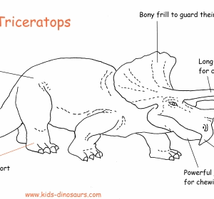 funny dinosaur facts