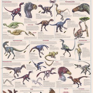 dinosaur facts for adults