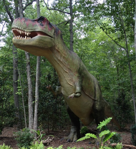 cretaceous period dinosaurs – T-Rex