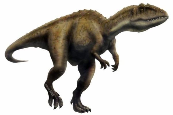 Posted In Carnivorous Dinosaurs Tagged Carcharodontosaurus ...