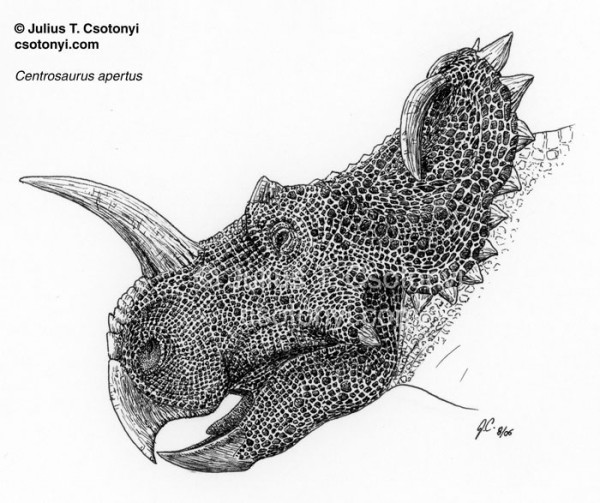 Centrosaurus Coloring Pages | Dinosaurs Pictures and Facts