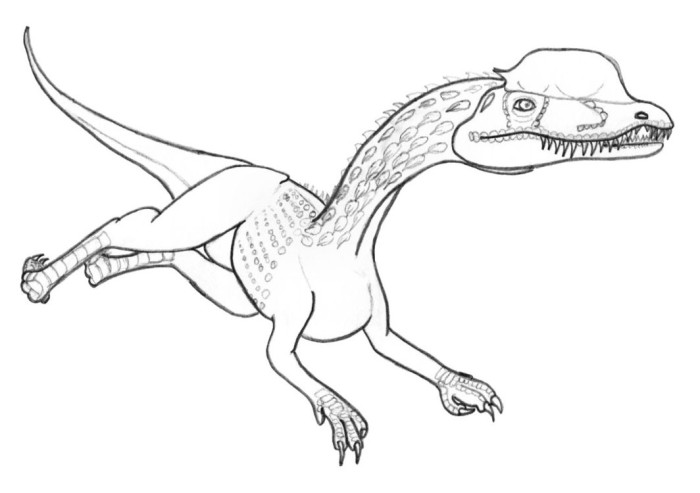 Dilophosaurus Coloring Page | Dinosaurs Pictures and Facts